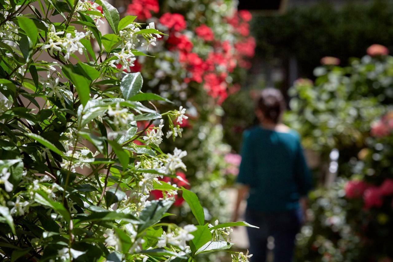 Hotel Le Galant - Etchegorry Paris